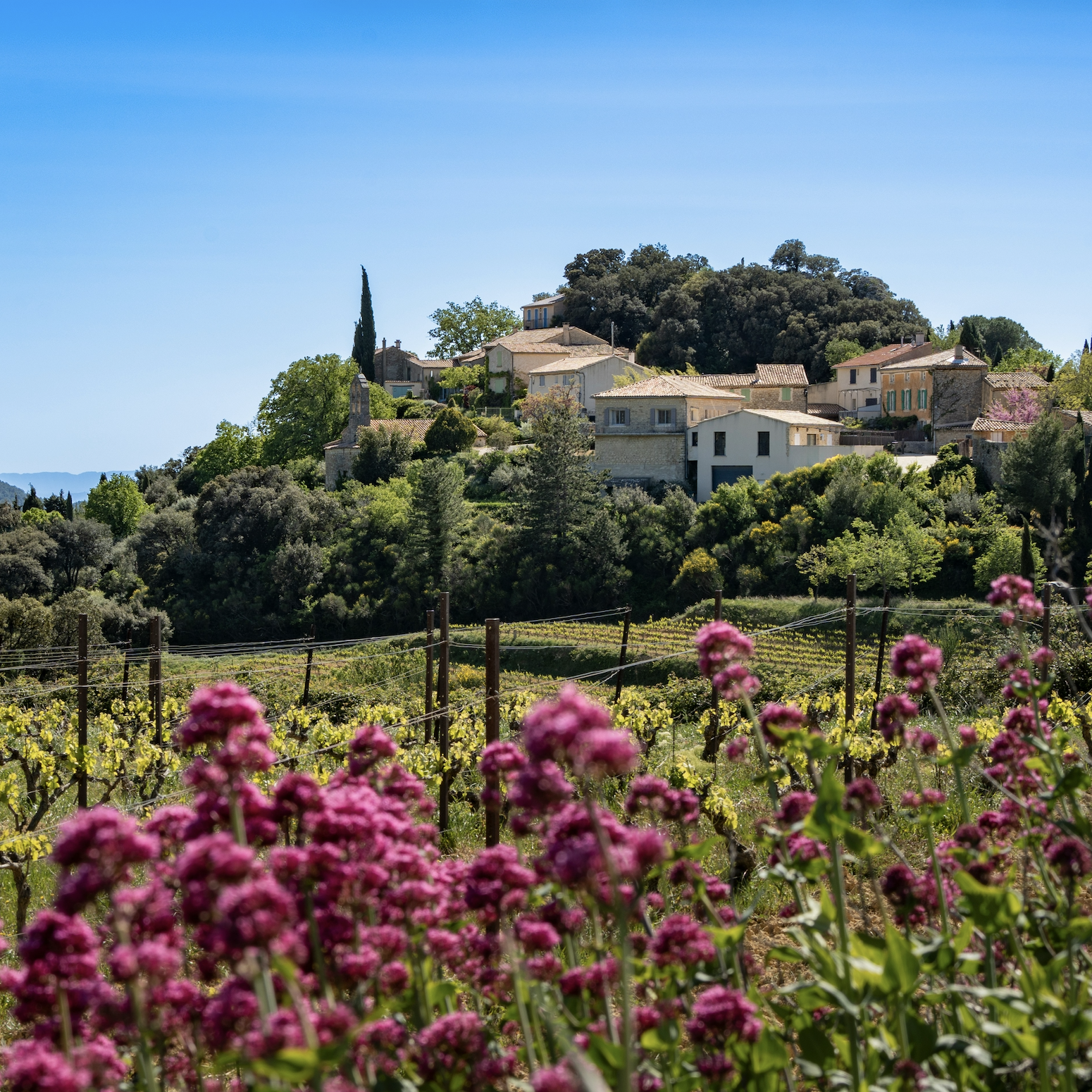 Provence, France
